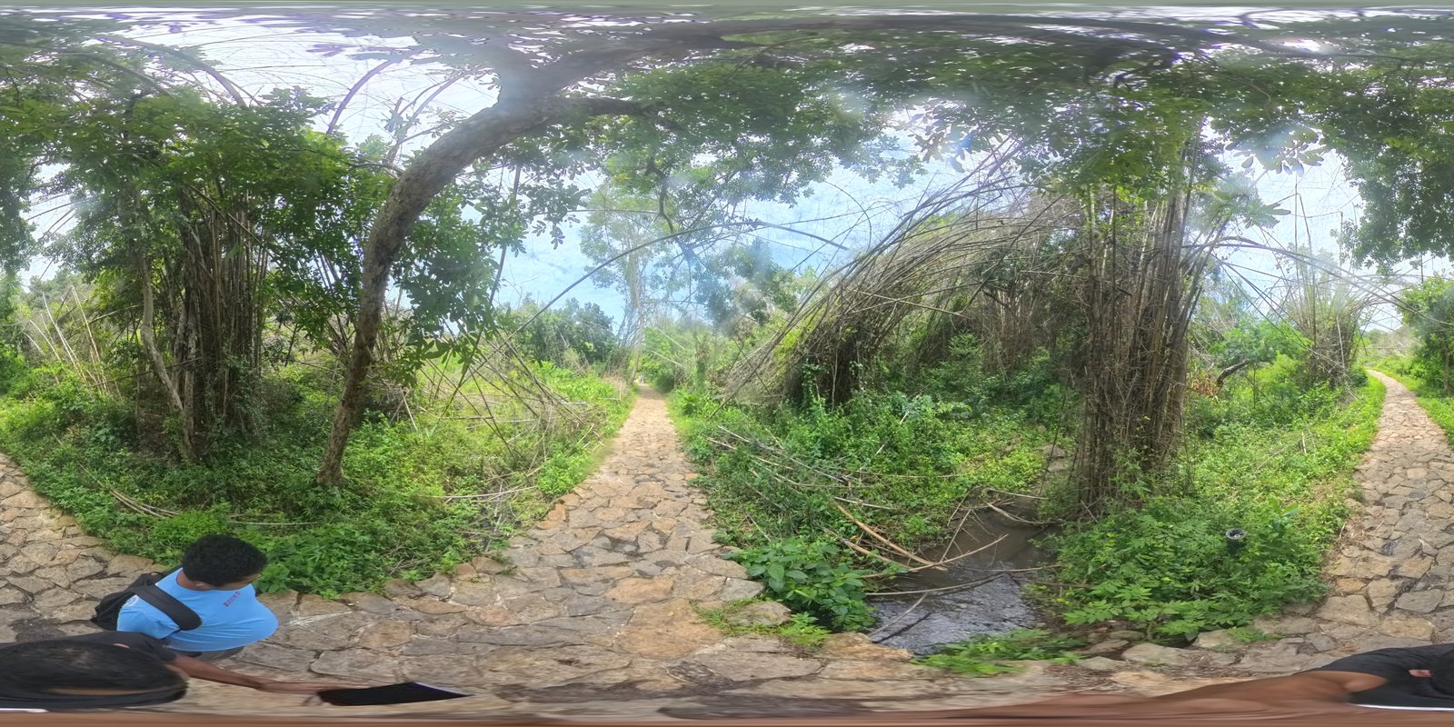 360 Experience